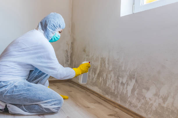 Licensed Crawl Space Mold Remediation service in Schertz, TX - Car Mold Remediation