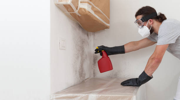 Professional Crawl Space Mold Remediation technician working in Schertz, TX